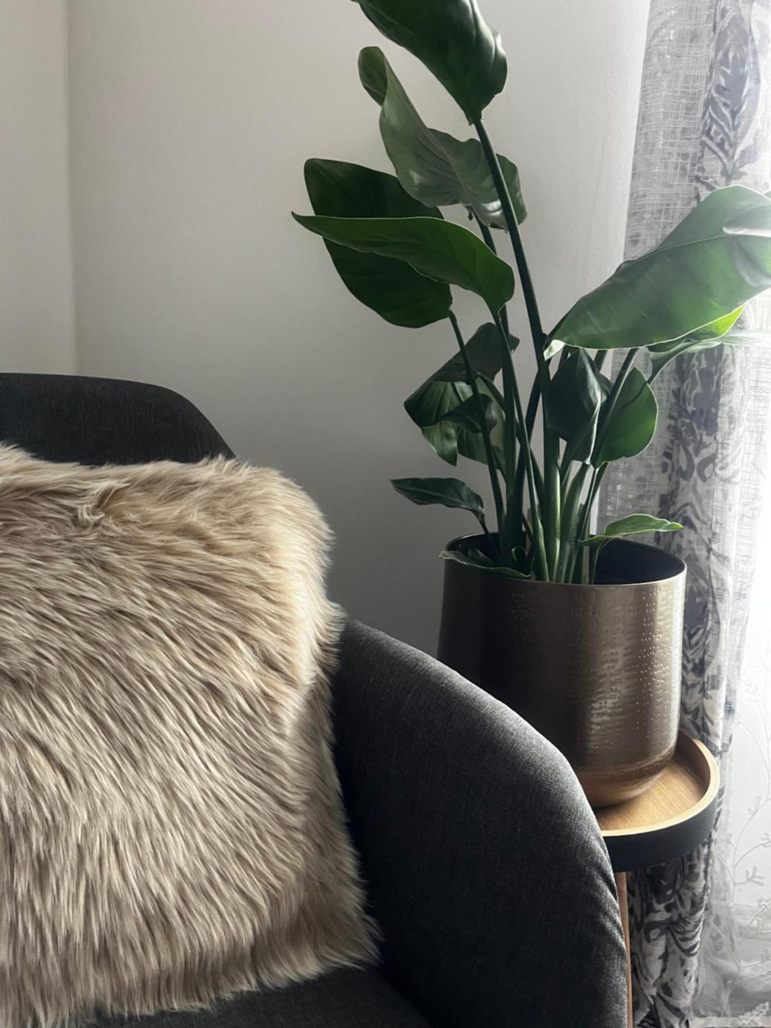 Apartament Oparno 38 Zewnętrze zdjęcie